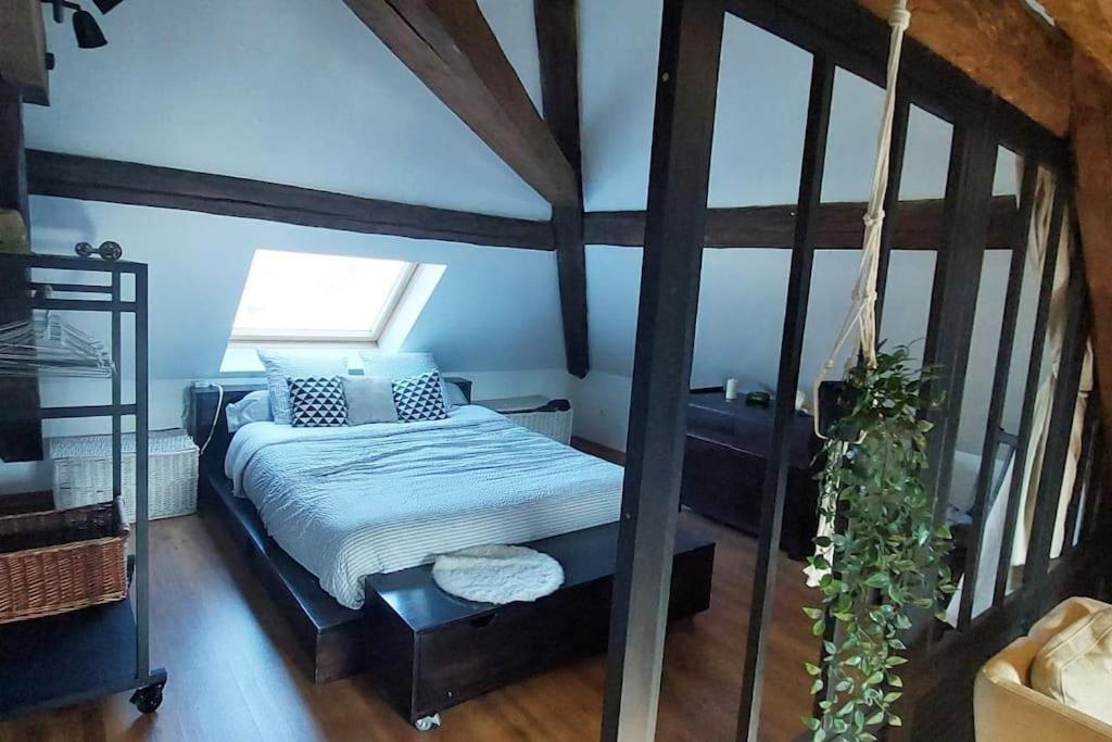 阿勒瓦尔*New*Les Amandines Le Loft* Wifi公寓 外观 照片